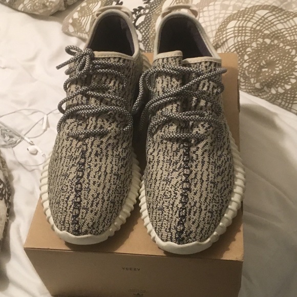 Adidas Yeezy boost Turtle Dove Size 10 - Picture 1 of 9